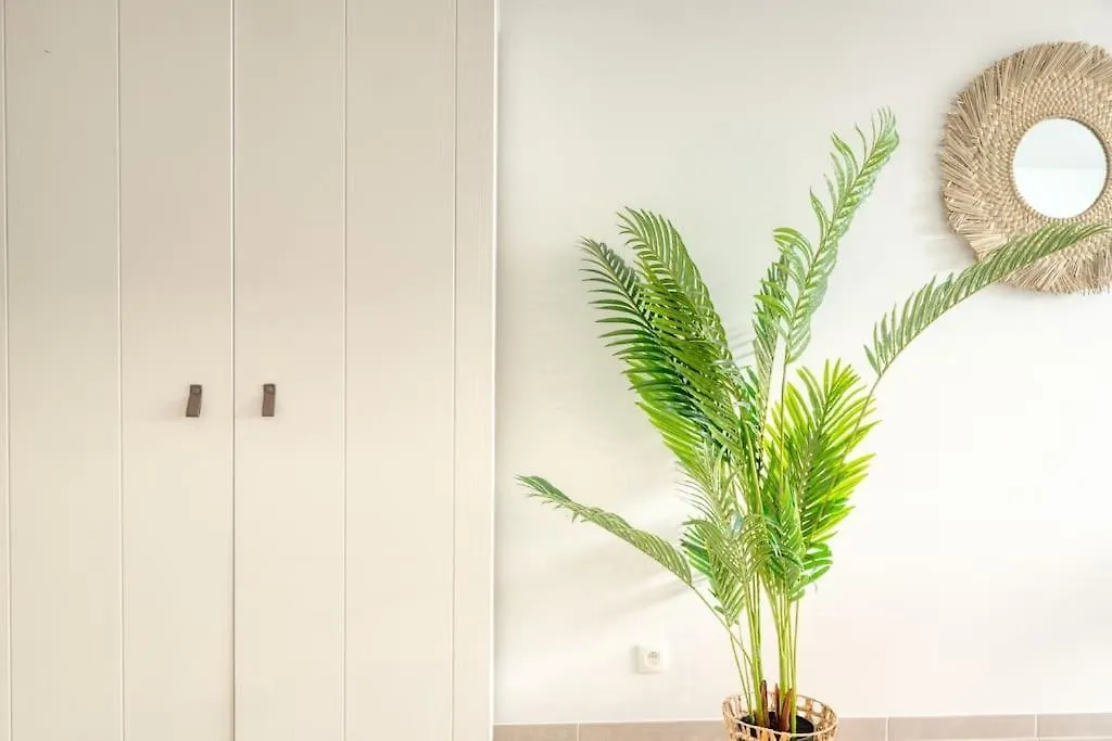 Family-Friendly Beachside Retreat For 5 In Ostend 0*,  Belgium